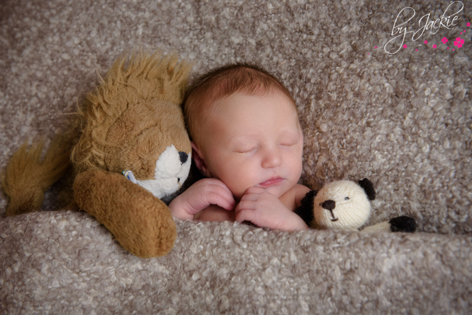 Photo of newborn baby tucked in with her teddy bears. Image: Babies By Jackie, York, Yorkshire, UK