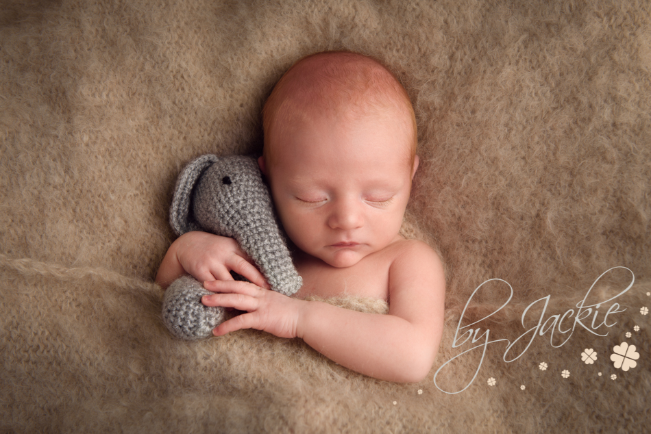 Photograph of baby boy cuddling his hand-made elephant gift from Babies By Jackie near York, Yorkshire, UK