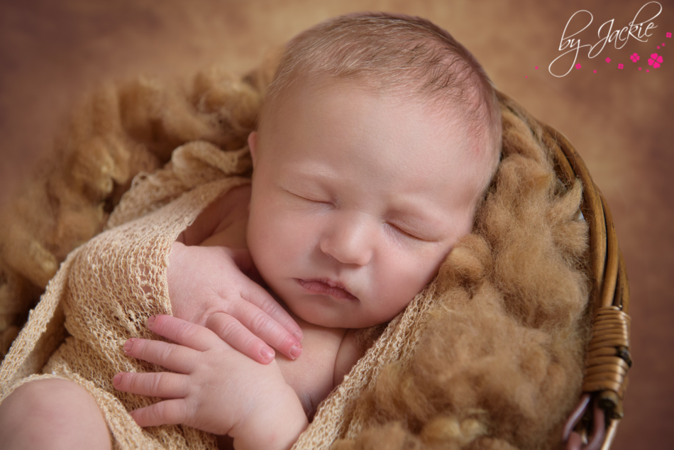 Photo of newborn baby girl snuggled in a basket. Image: Babies By Jackie, York, Yorkshire, UK