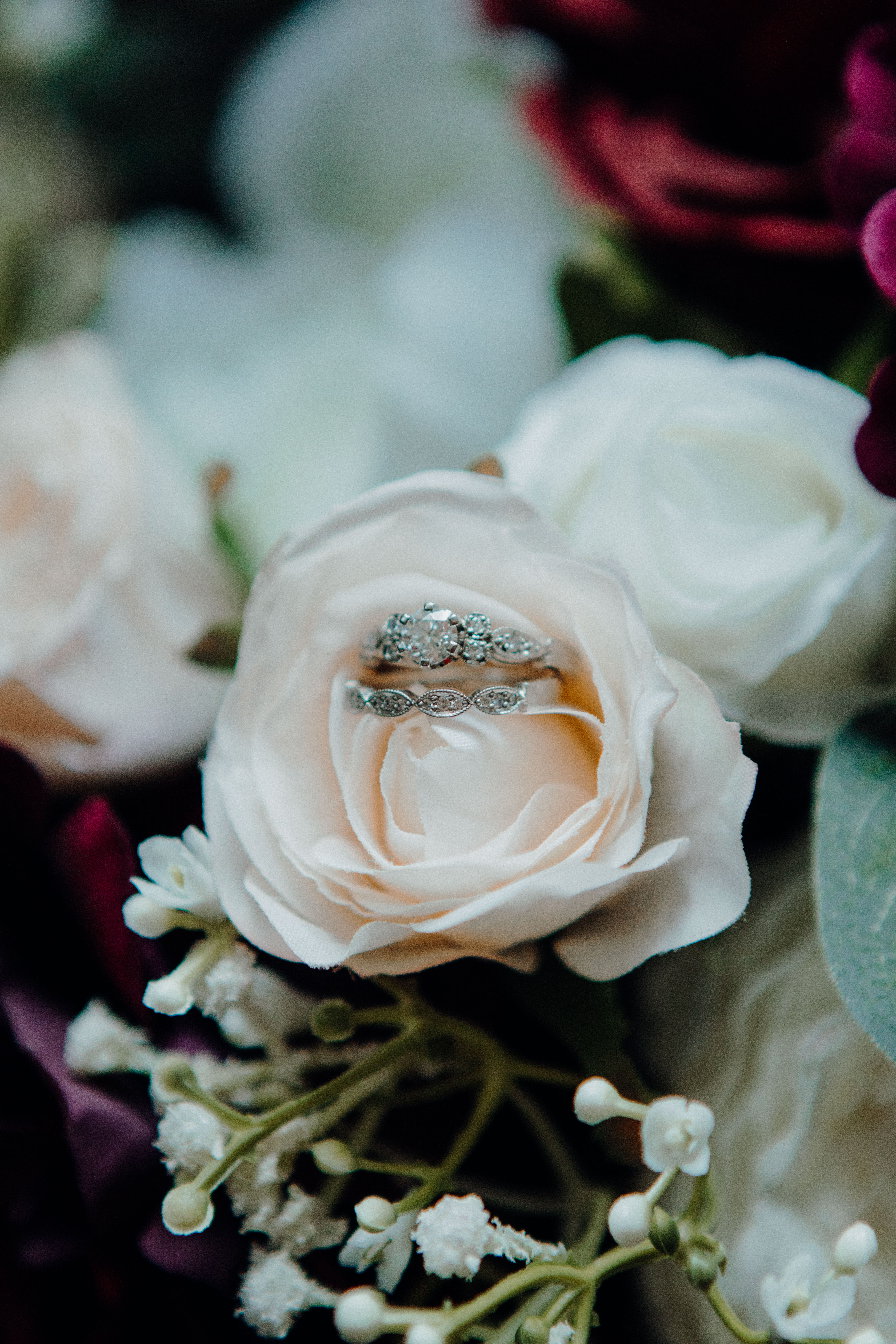 Bethany and Eden Whangarei Wedding