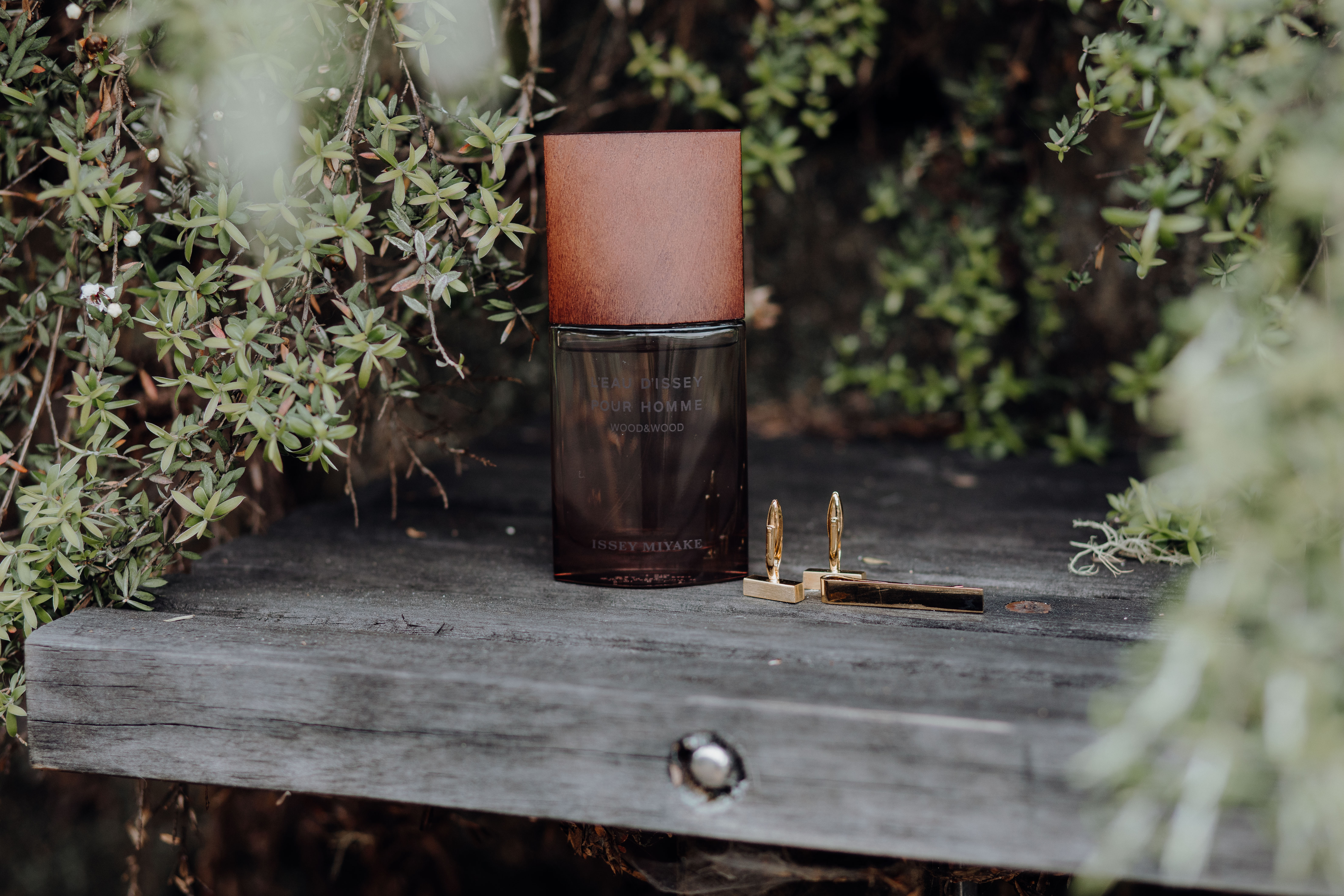 Bethany and Eden Whangarei Wedding